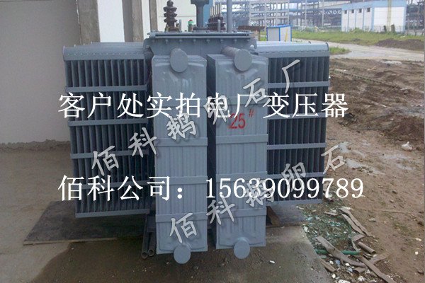 客戶想要購(gòu)買(mǎi)齊全的水處理鵝卵石到哪里去？