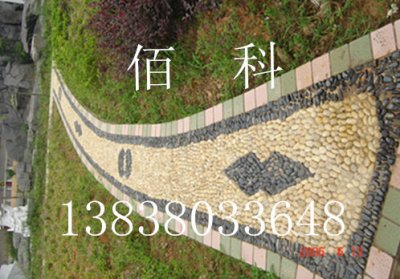 什么時間踩鵝卵石小路好呢？